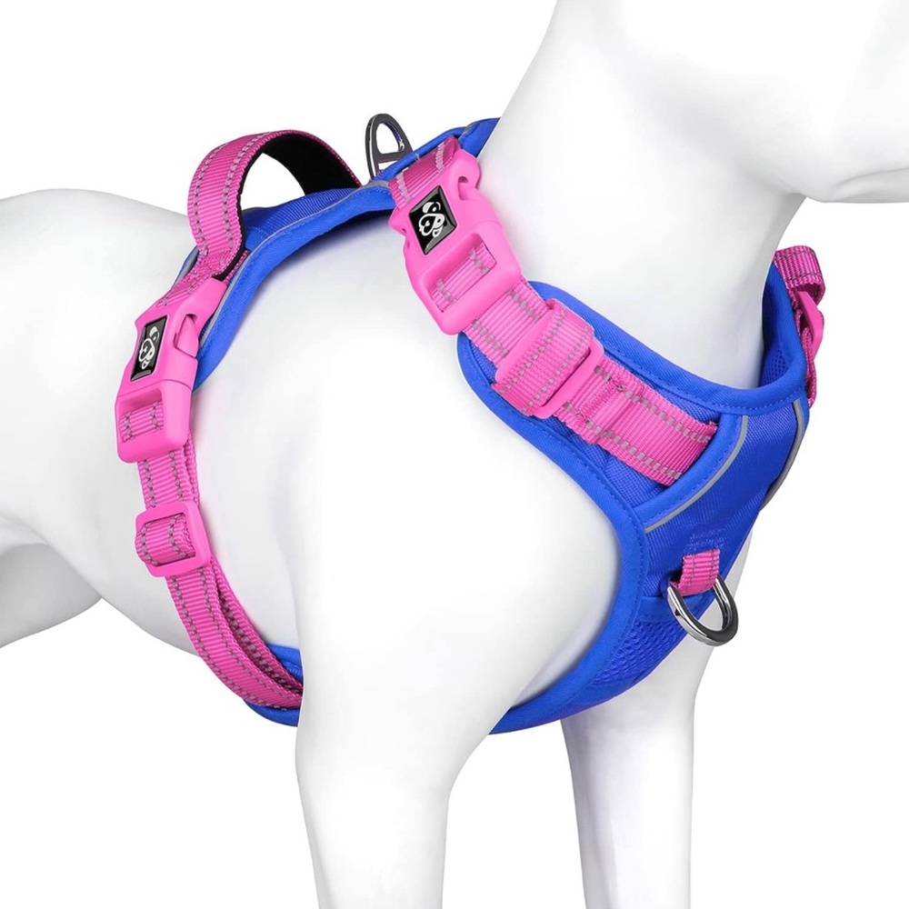 No Pull Dog Harness- Blue with Pink Accents-Large